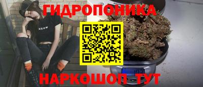 винт Гусь-Хрустальный