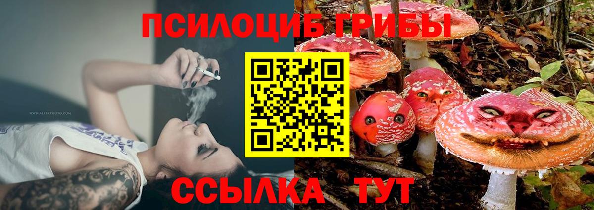 Псилоцибиновые грибы Psilocybe  магазин  наркотиков  Гусь-Хрустальный  Вход с VPN  Галлюциногенные грибы Psilocybe 