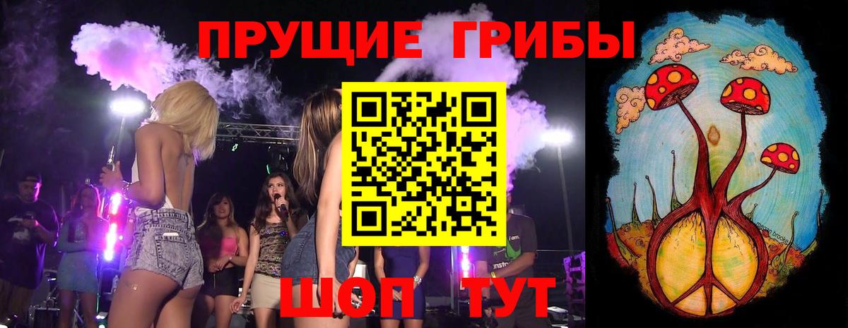 купить   Гусь-Хрустальный  Галлюциногенные грибы Psilocybine cubensis  Галлюциногенные грибы Cubensis 